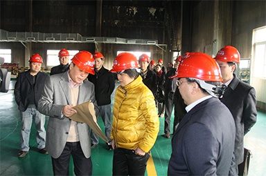 2012年1月31日，時(shí)任嘉興市委書記魯俊率領(lǐng)市發(fā)改委等市級(jí)部門負(fù)責(zé)人到公司調(diào)研
