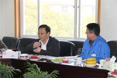 2013年3月18日，時任國家工信部節(jié)能司副司長楊鐵生一行蒞臨公司參觀指導(dǎo)